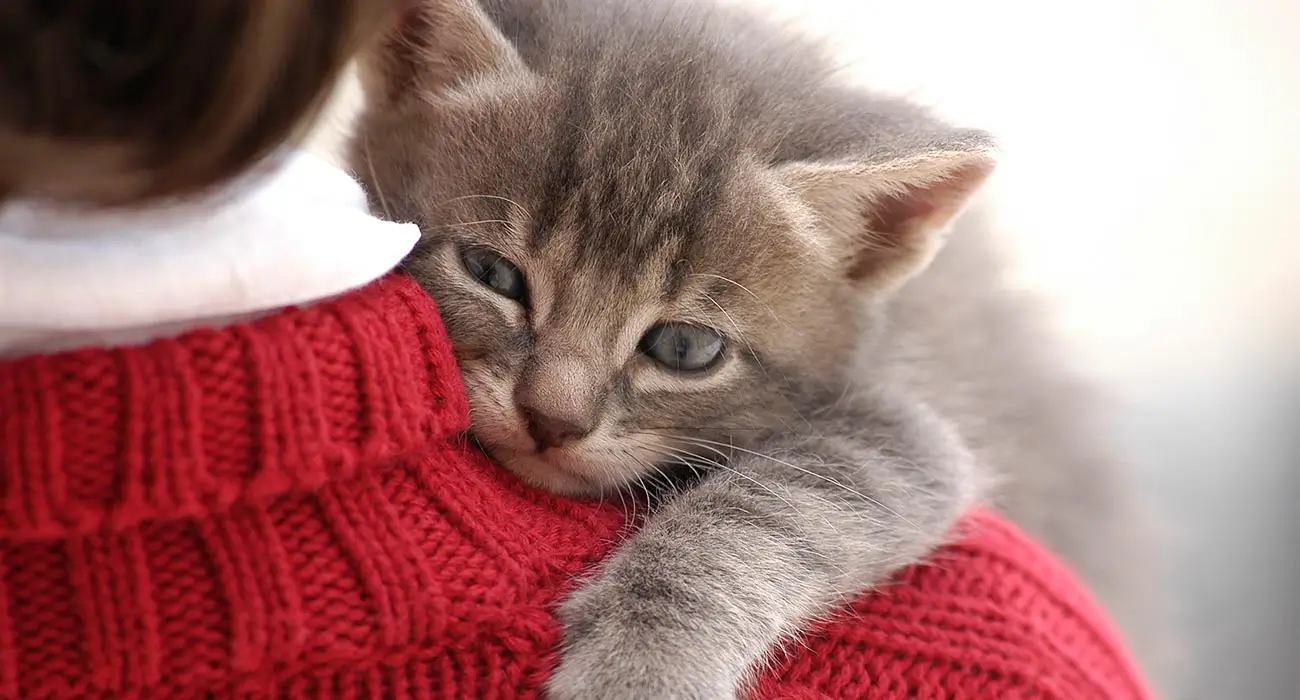 How to talk about legacies